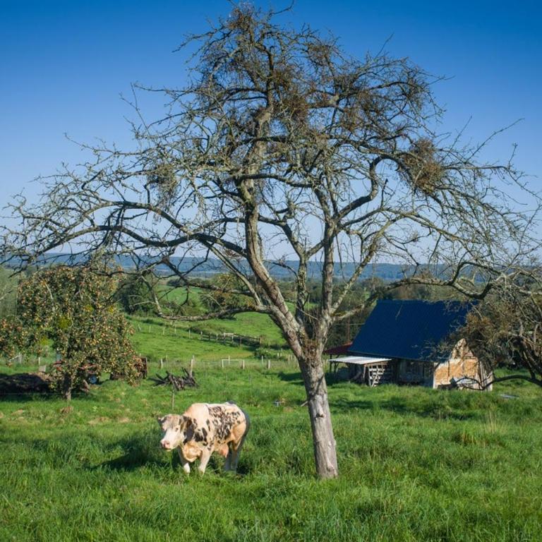 Modern Townhouse in Honfleur with secure parking - Casa Vacanze - 27