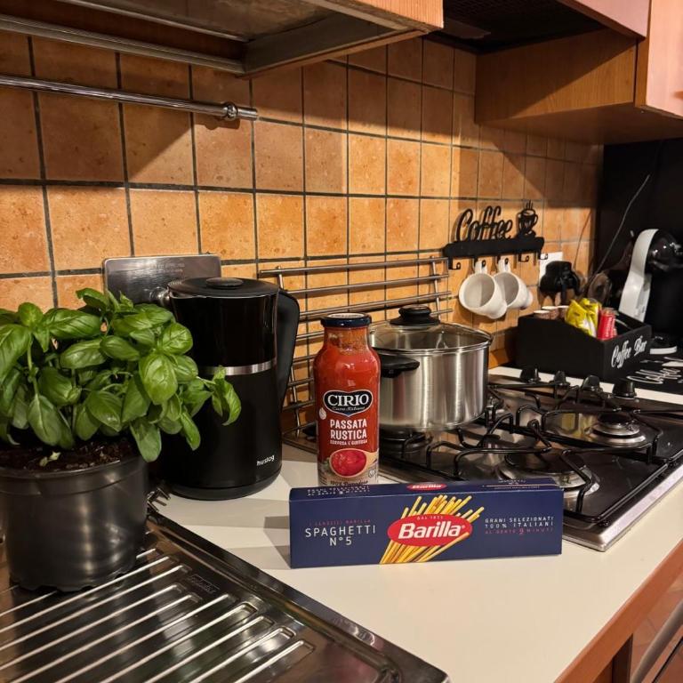 Welcoming Vatican Garden Home - with Hot Hub - Appartamento con 1 Camera da Letto e Vasca Idromassaggio - 43