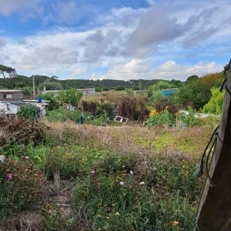 Baubo Ecocasa - Double Room with Garden View - 3