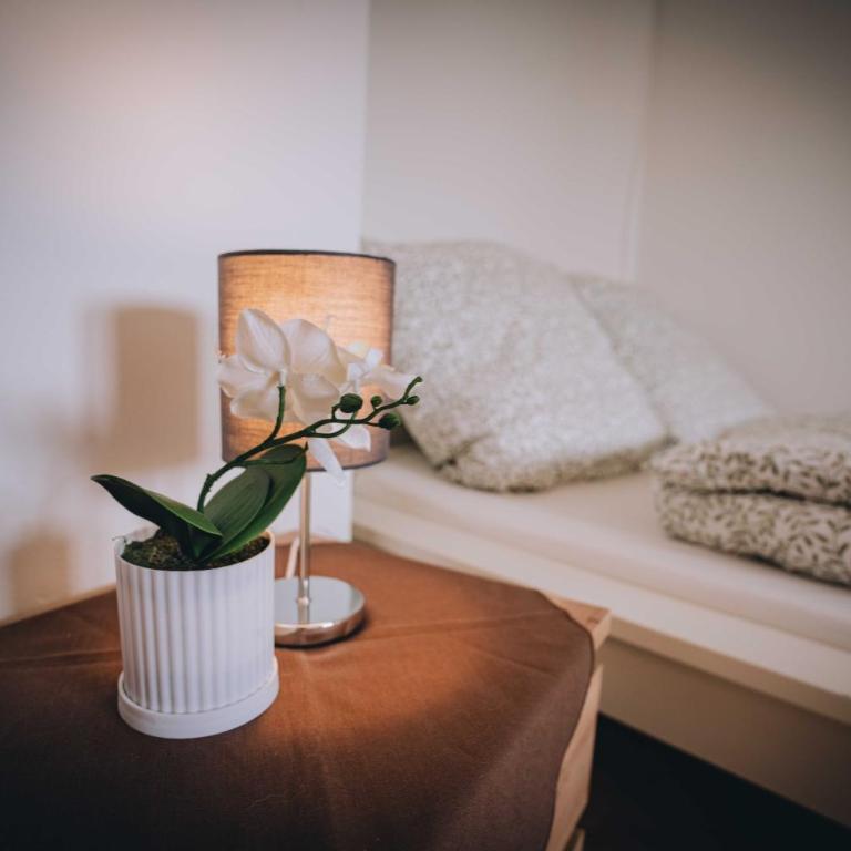 AdlerHorst Bright and Stylish with Mountain View - Apartment mit 2 Schlafzimmern - 12