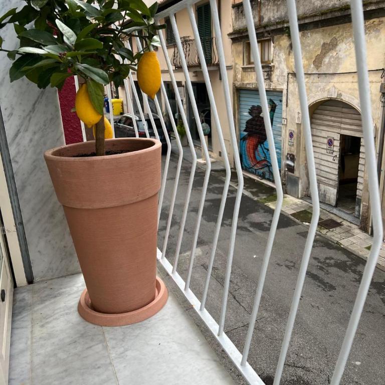 Loftino28 - Appartement 1 Chambre - 2