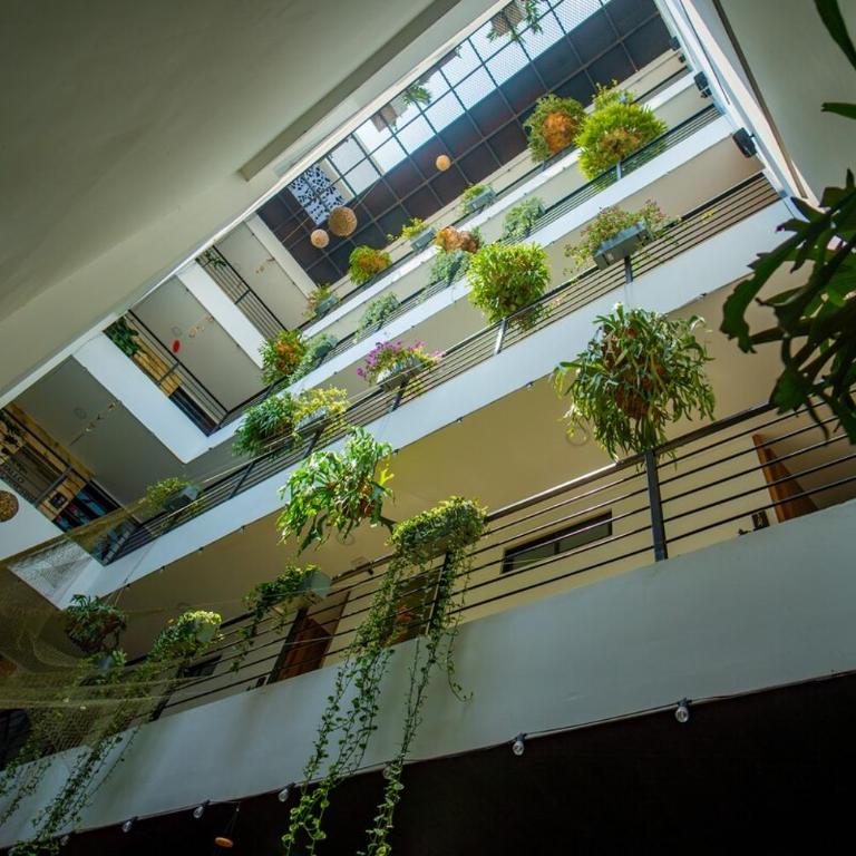 Norte Cali - Bosque Living - 101 - Apartamento de 1 dormitorio - 19