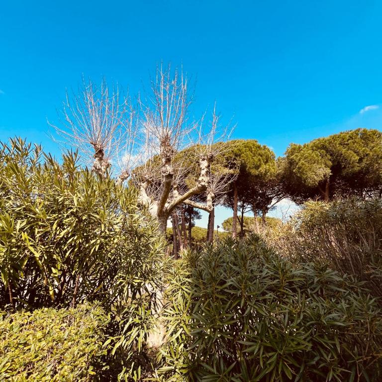 Noble Escale, Plage et Parking - Appartamento con 1 Camera da Letto - 22
