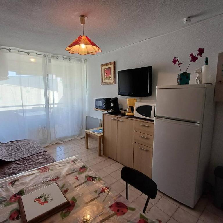 T1 agréable avec parking privé, proche étang de Thau, climatisé, cuisine équipée, loggia, Balaruc-les-Bains - FR-1-571-33 - Apartment (2 Adults) - 4