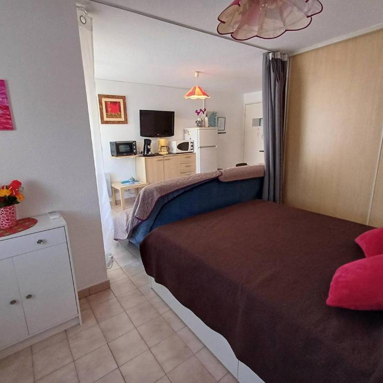 T1 agréable avec parking privé, proche étang de Thau, climatisé, cuisine équipée, loggia, Balaruc-les-Bains - FR-1-571-33 - Apartment (2 Adults) - 6