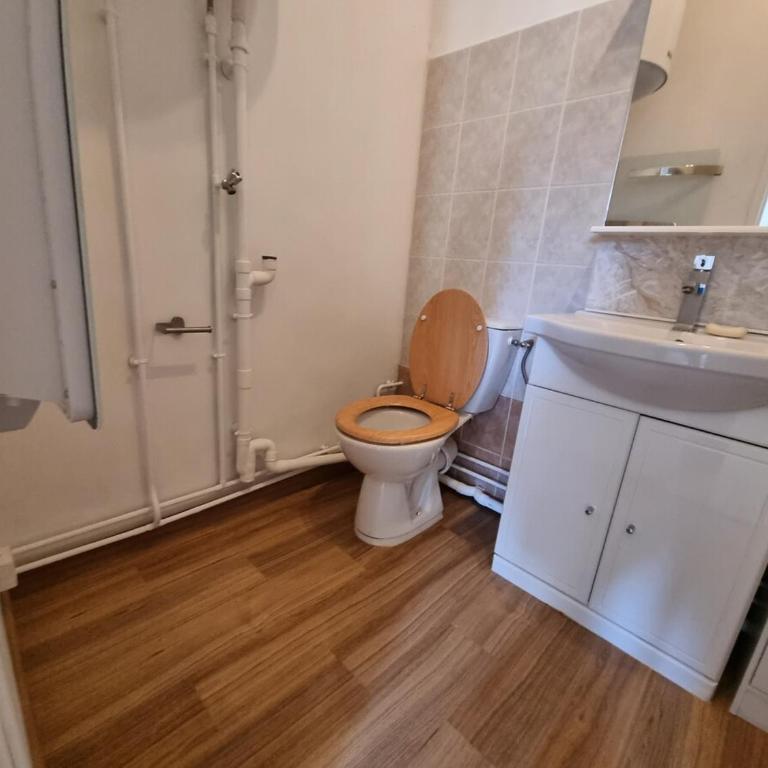 Mont d'arène superbe appartement proche gare - Appartamento con 1 Camera da Letto - 6