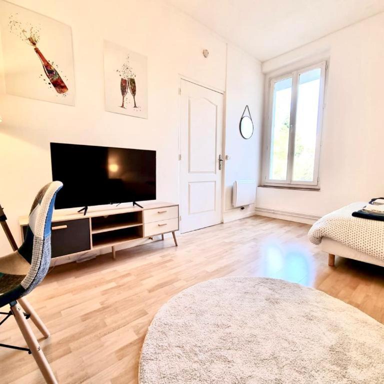 Mont d'arène superbe appartement proche gare - Appartamento con 1 Camera da Letto - 11