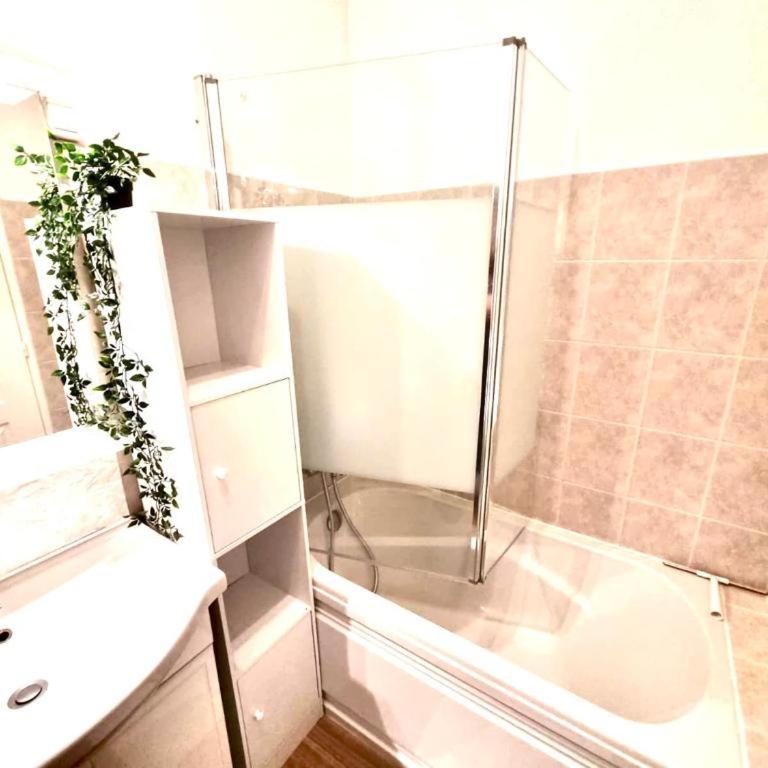 Mont d'arène superbe appartement proche gare - Appartamento con 1 Camera da Letto - 14