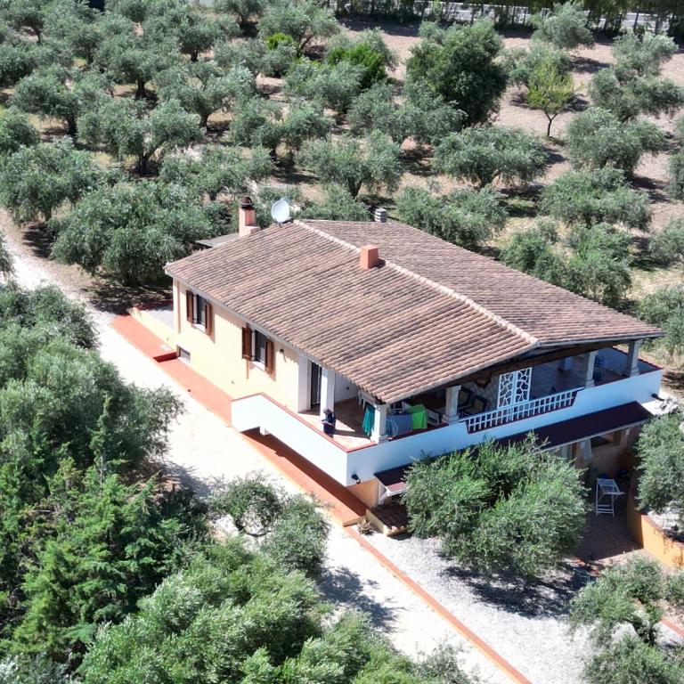 Rustico degli Ulivi - Appartamento con 1 Camera da Letto e Terrazza - 24