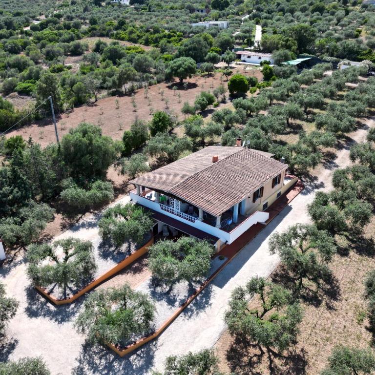 Rustico degli Ulivi - Appartamento con 1 Camera da Letto e Terrazza - 23