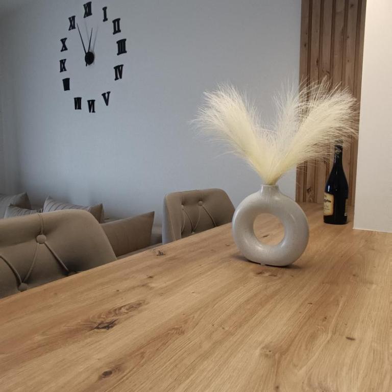 Apartman Jana - Apartman sa 1 Spavaćom Sobom - 10