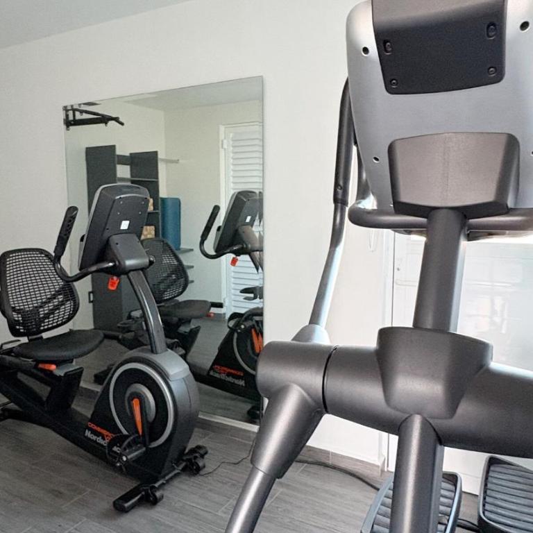 Penthouse near Expo Guadalajara - One-Bedroom Apartment - 13