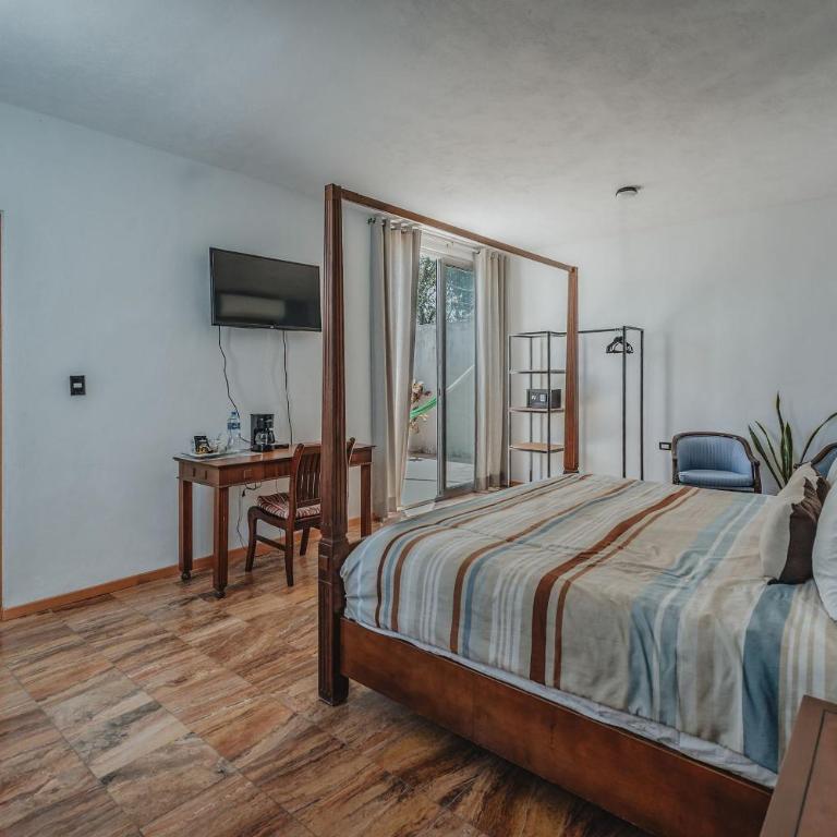 Amplia Habitación Privada Centro - King Suite - 5
