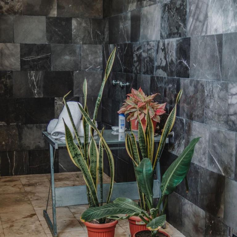 Amplia Habitación Privada Centro - King Suite - 16
