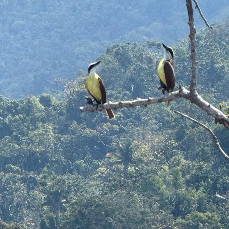 Casa Mismaloya Selva - Casa de 4 dormitorios - 17