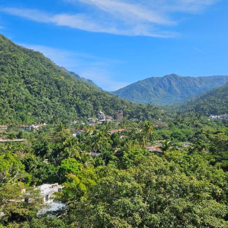 Casa Mismaloya Selva - Casa de 4 dormitorios - 5