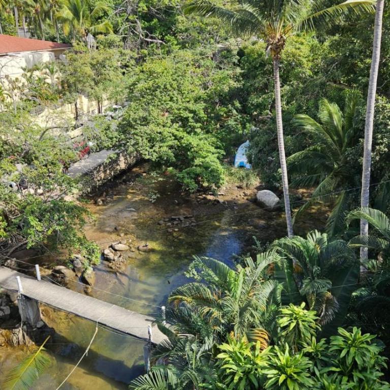 Casa Mismaloya Selva - Casa de 4 dormitorios - 3