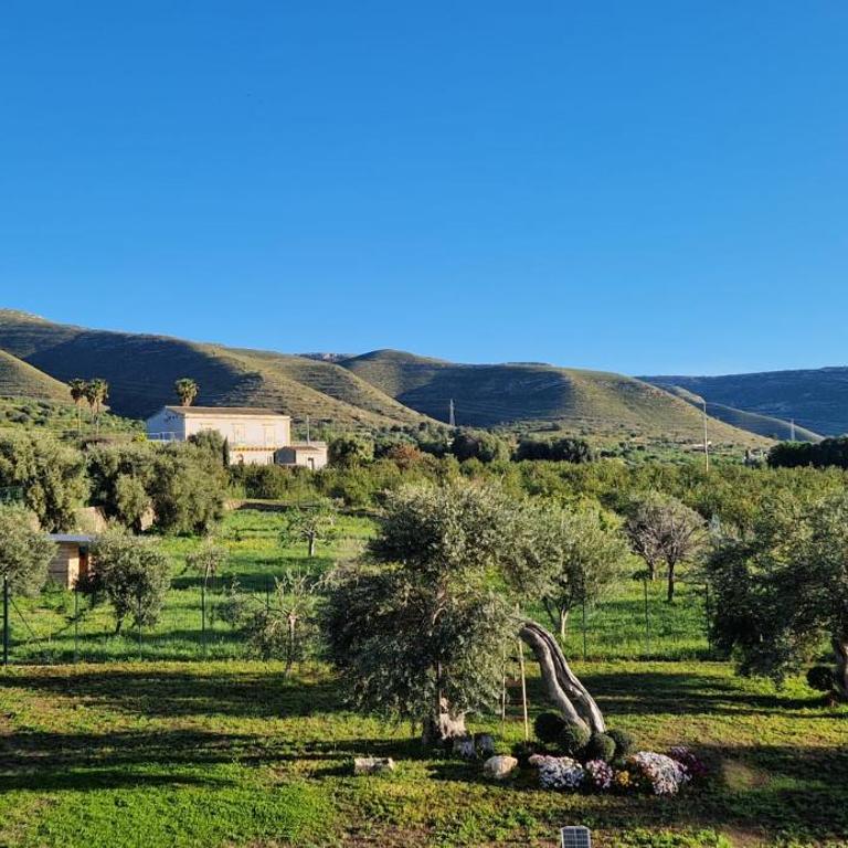 I Secolari di Giulia 2 - Appartamento - Piano Terra - 43