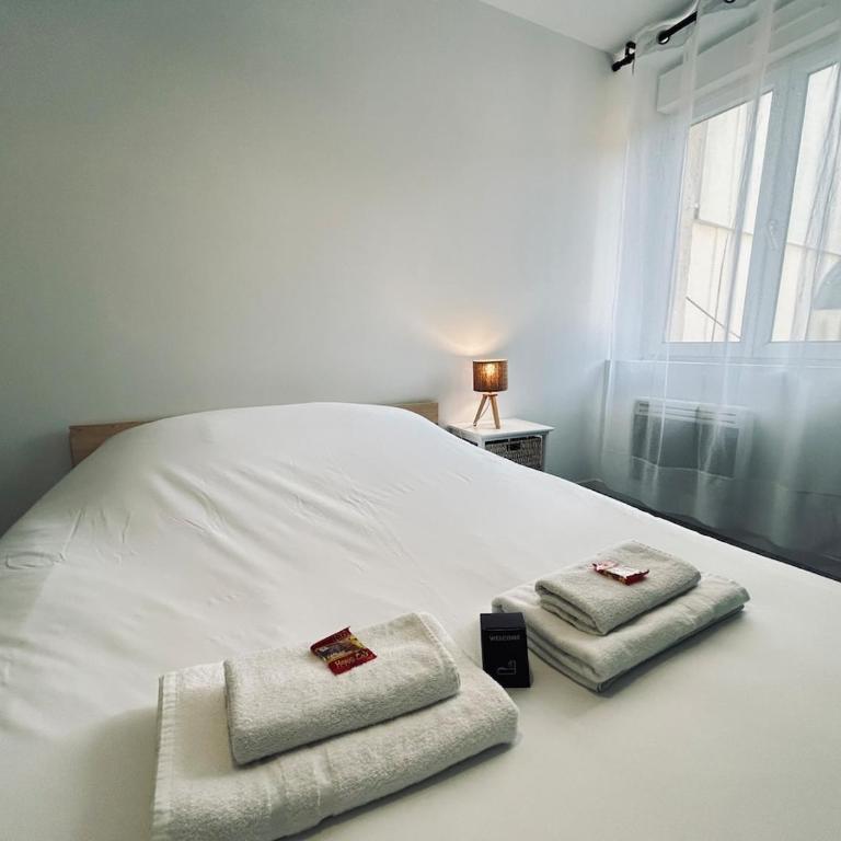 Maison de charme Reims 8 chambres, 8 salle de bain - Appartamento - 17