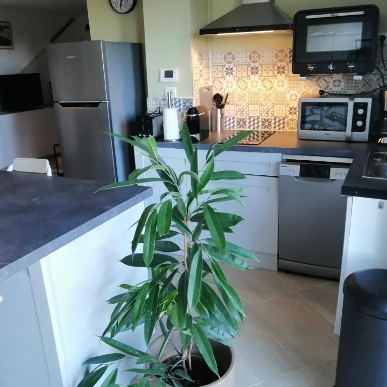 Aqui siem ben - Two-Bedroom Apartment - 23