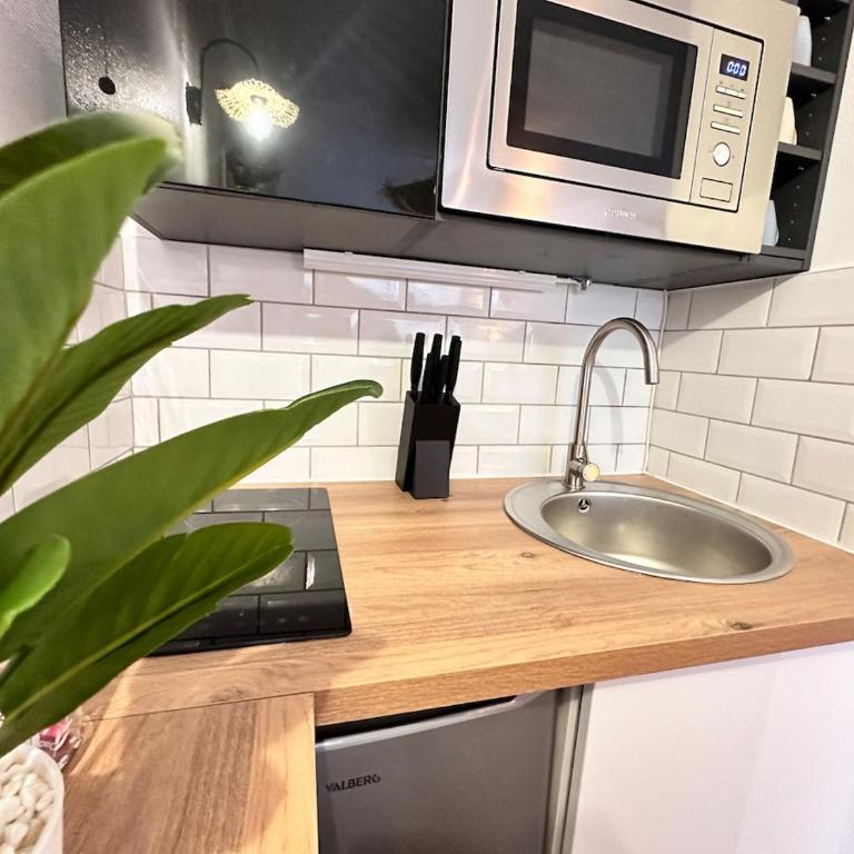 Magic suite avec Balnéo, Sauna et terrasse - Appartement 1 Chambre - 34
