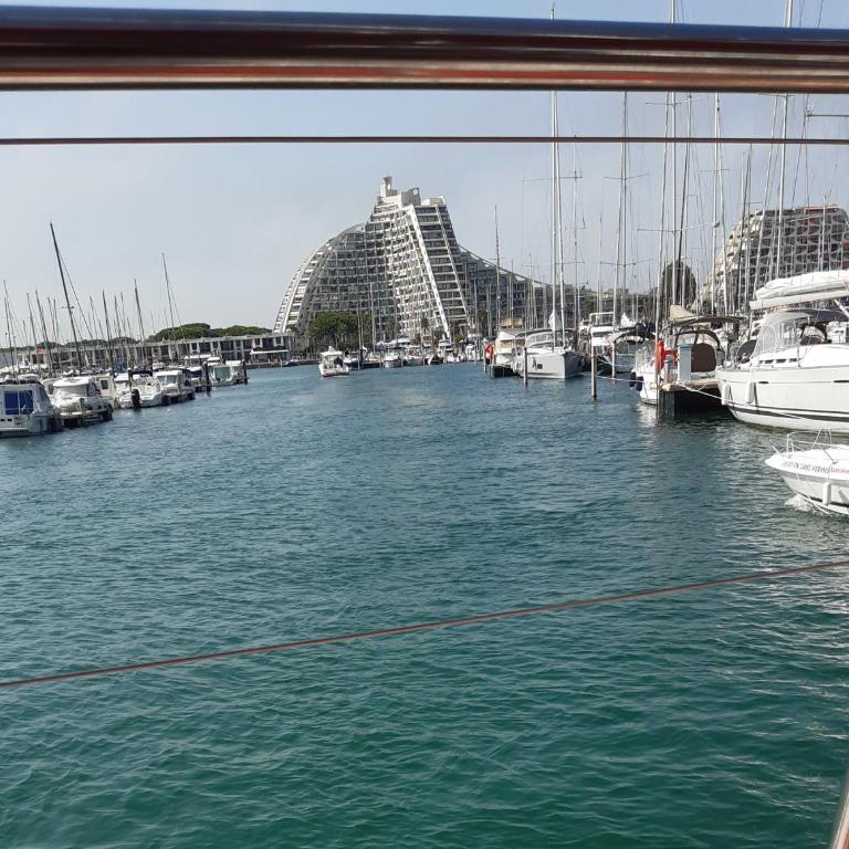 Studio " La Plage " avec parking privé gratuit et CLIM - Studio - 14