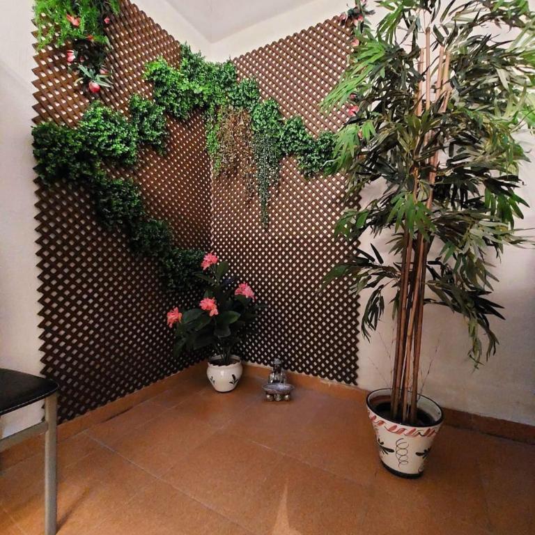 Pritty Apartement Baltico Torrevieja - Three-Bedroom Apartment - 17