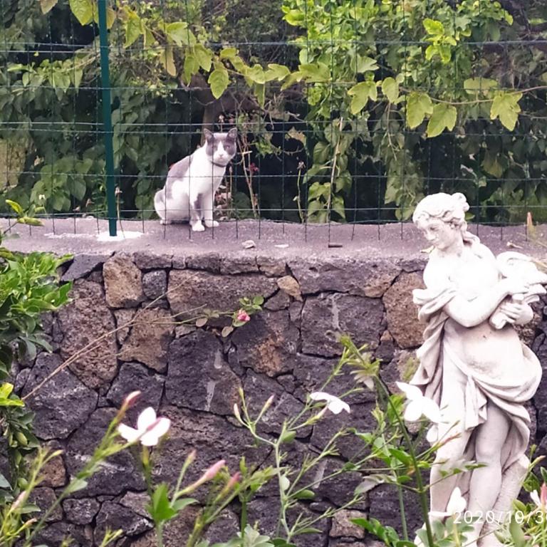 Il Giardino di Galatea - Camera Matrimoniale - 19