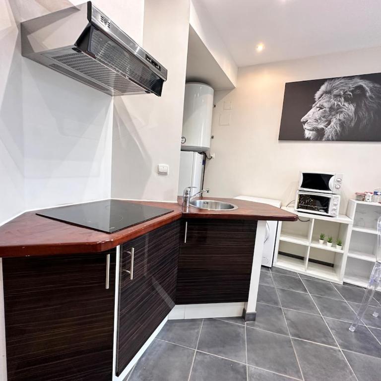 Carreret chic et cocon proche centre ville - Appartamento con 1 Camera da Letto - 33