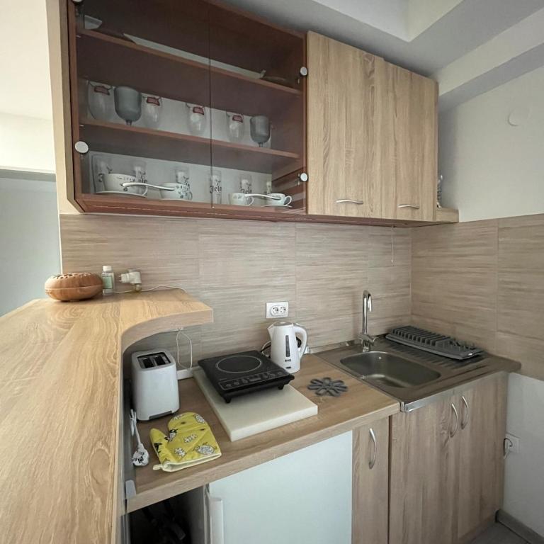 Novi Sad Oasis - Apartman sa 2 Spavaće Sobe - 7