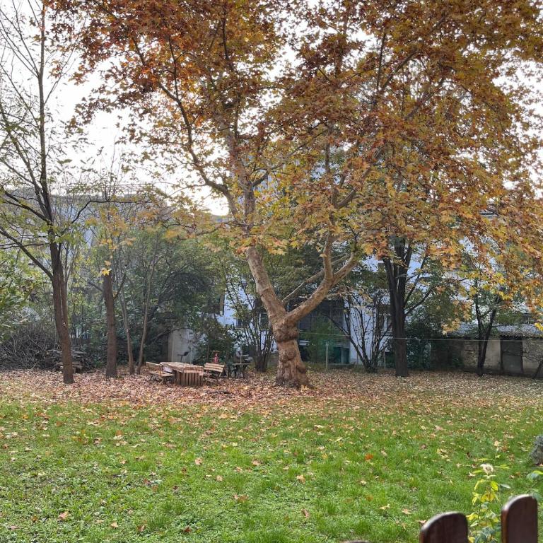 Novi Sad Oasis - Apartman sa 2 Spavaće Sobe - 21