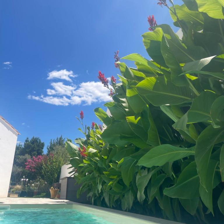 Jolie villa avec piscine et vue panoramique sur le golf - Villa Supérieure - 4