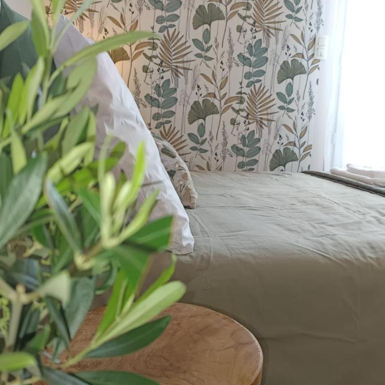 Appartement Lumineux hypercentre - Biscarrosse - Apartamento de 1 dormitorio - 38