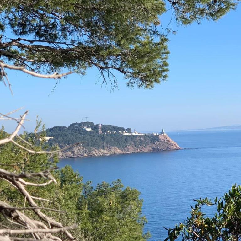 Studio calme 4 personnes 600 m de la plage sur la presqu'île de St mandrier proche toulon - Apartamento de 1 dormitorio - 23