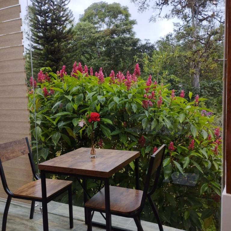 Saguamby Mindo Lodge - Suite - 7