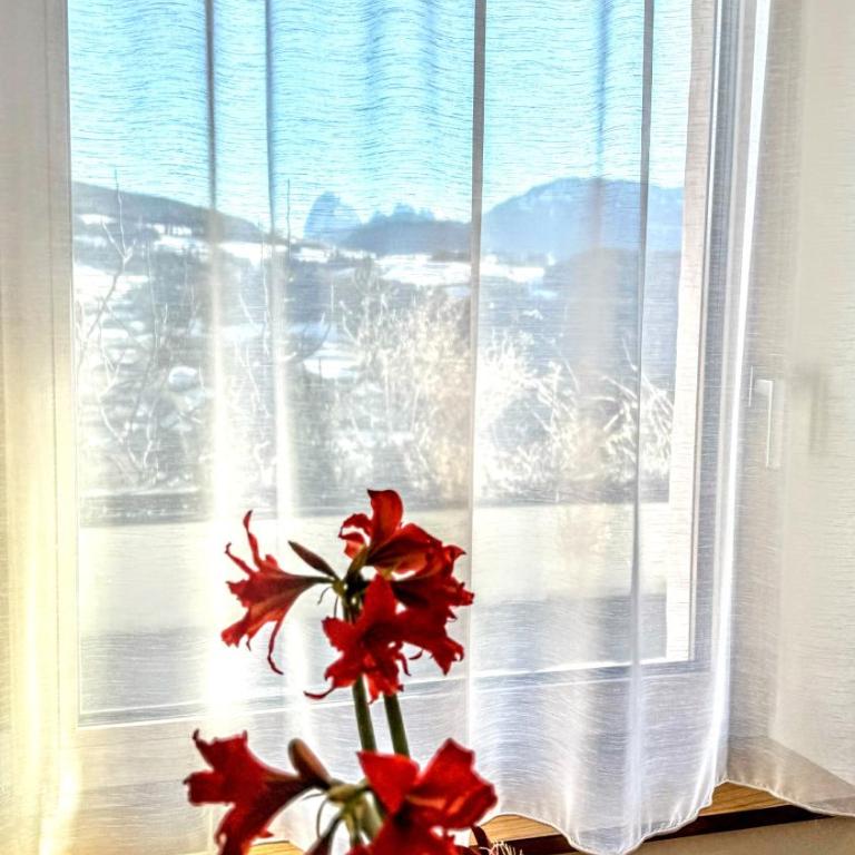 Haus Gläserer apartments - Apartment mit Blick auf die Berge - 2