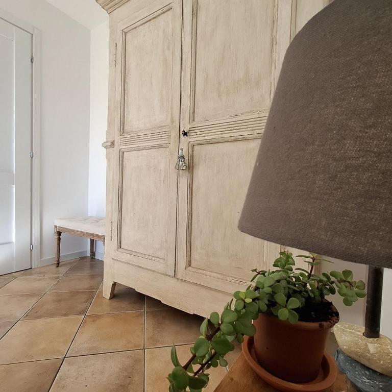 Le Mimose Garden - Appartement 1 Chambre - 11