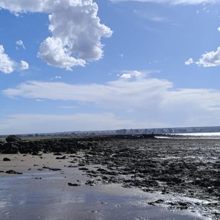 Grata hdf - Apartamento de 2 dormitorios - 15