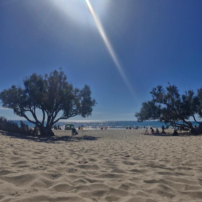 Grata hdf - Apartamento de 2 dormitorios - 17