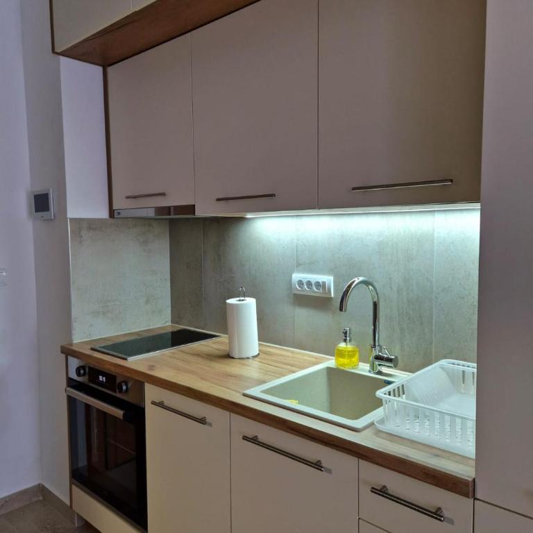 Sokolis Apartman - One-Bedroom Apartment - 12