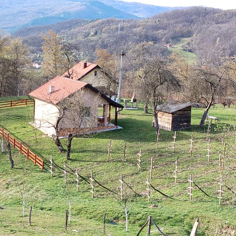 Vikendica Batin Konak - Kuća sa 1 Spavaćom Sobom - 53