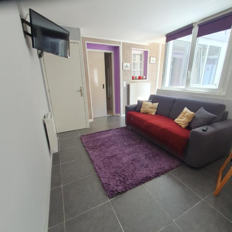 appartement 2 pieces - Apartment mit 1 Schlafzimmer - 4