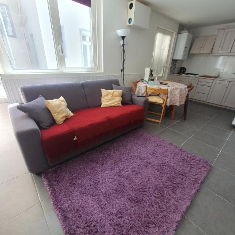 appartement 2 pieces - Apartment mit 1 Schlafzimmer - 5