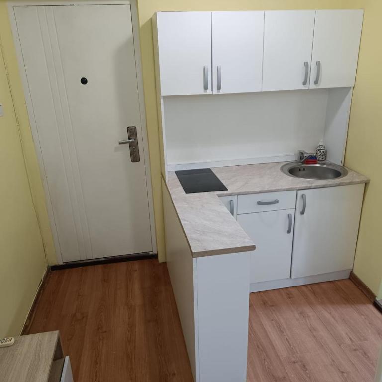 Apartman Biljana - Apartman sa 1 Spavaćom Sobom - 5