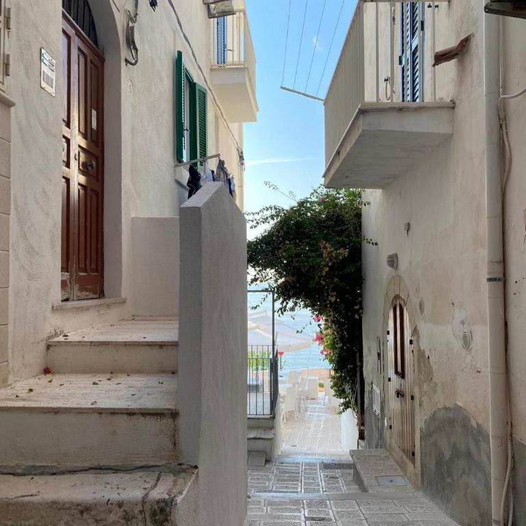 La finestra sul mare nel centro storico - One-Bedroom Apartment - 52