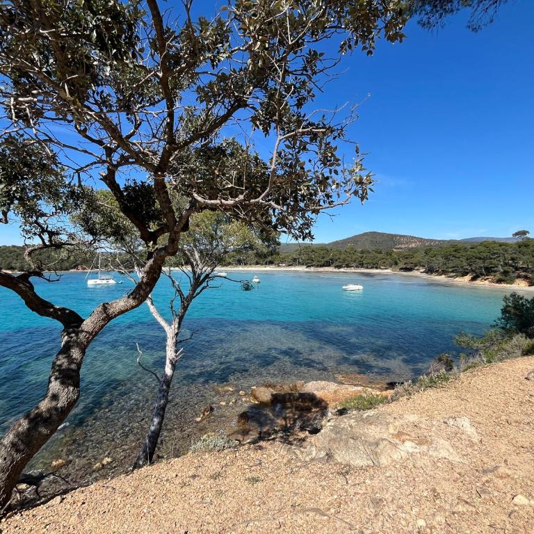 Appartement plage piscine et tennis inclus - One-Bedroom Apartment - 49