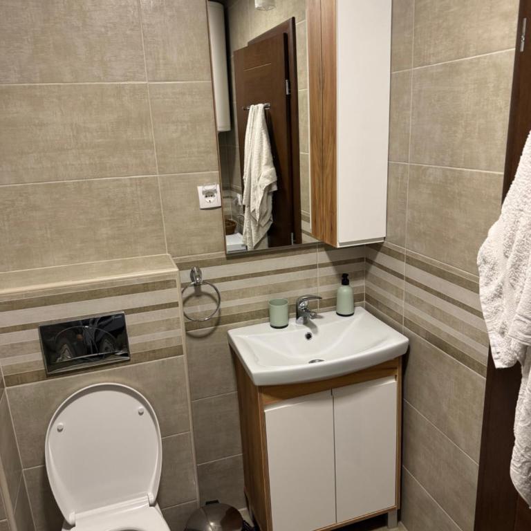 Stanojevic LUX Apartman - One-Bedroom Apartment - 9