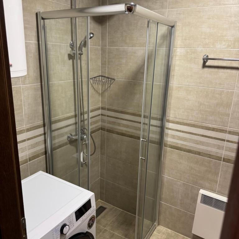 Stanojevic LUX Apartman - One-Bedroom Apartment - 8