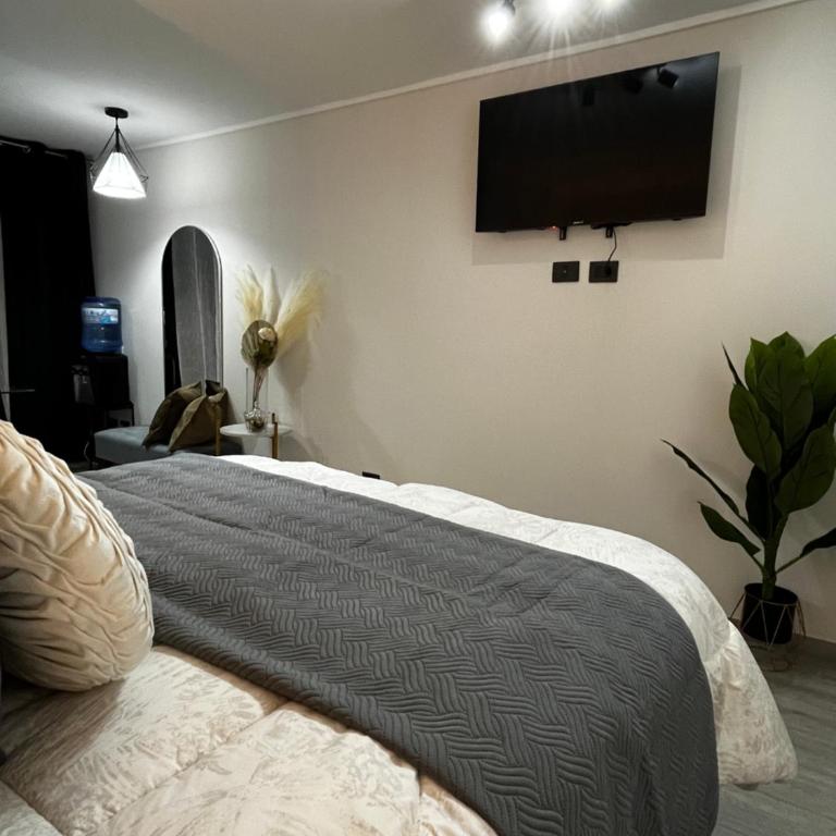 M&C Departamento Republica 701 - Apartamento de 1 dormitorio - 10