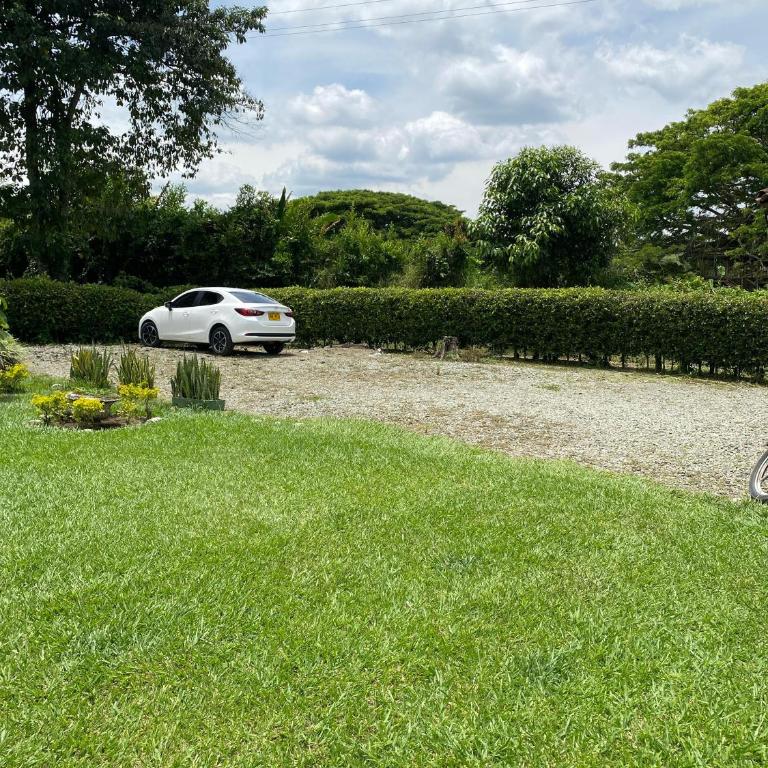 Finca chalet El Robledal - Four-Bedroom Vacation Home - 42